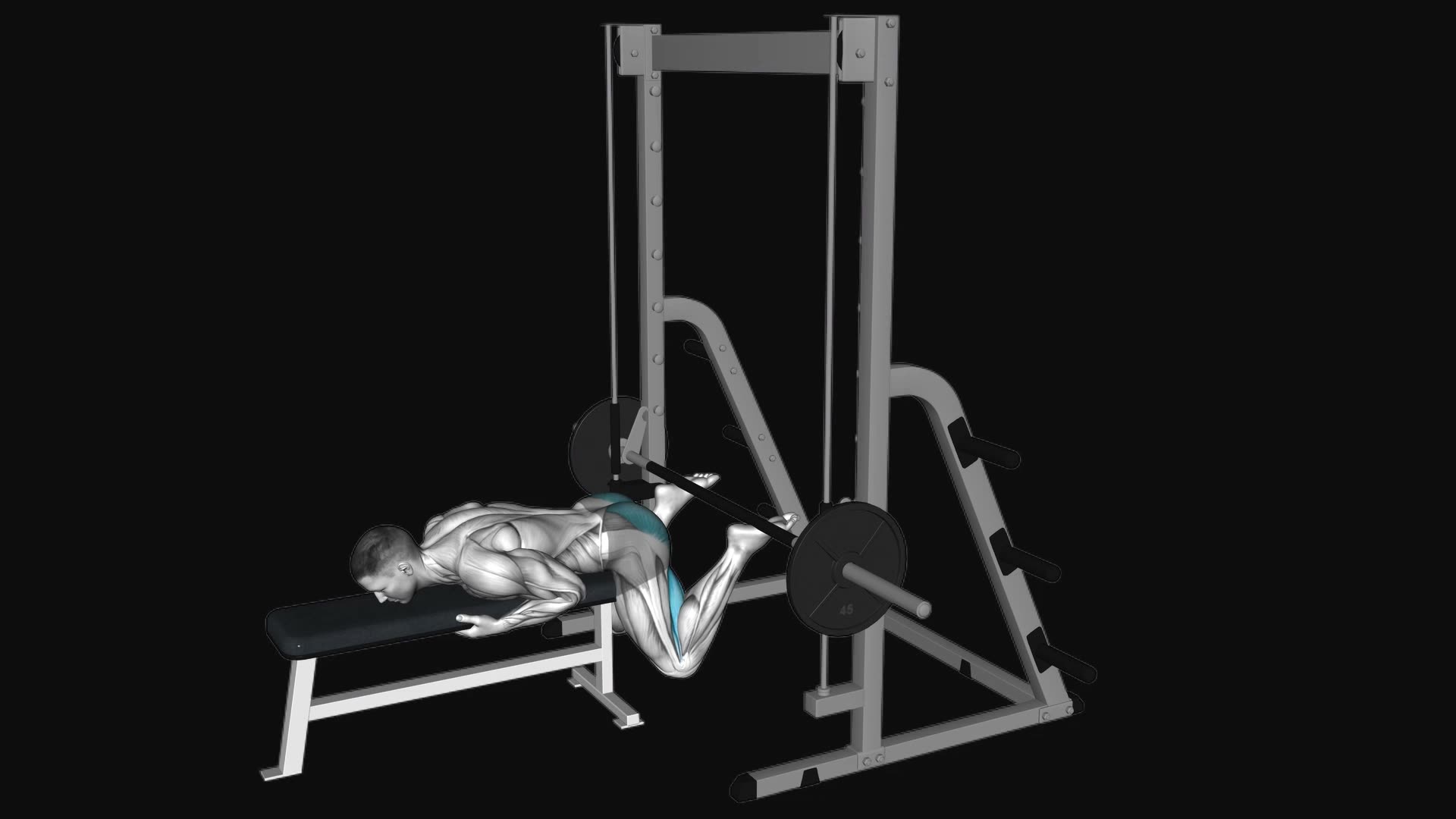 Smith Reverse Hyperextension