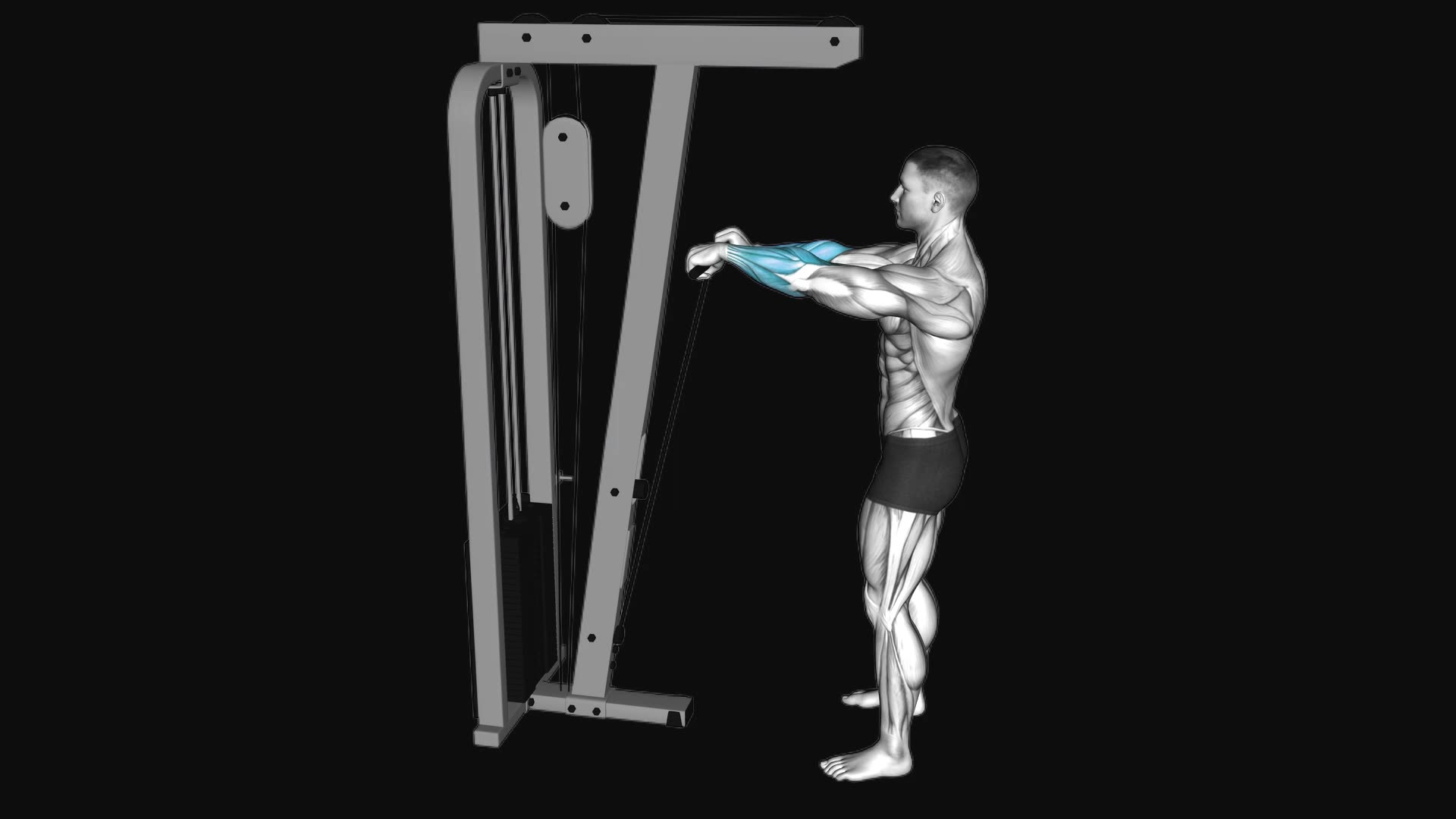 Cable Standing Wrist Roll
