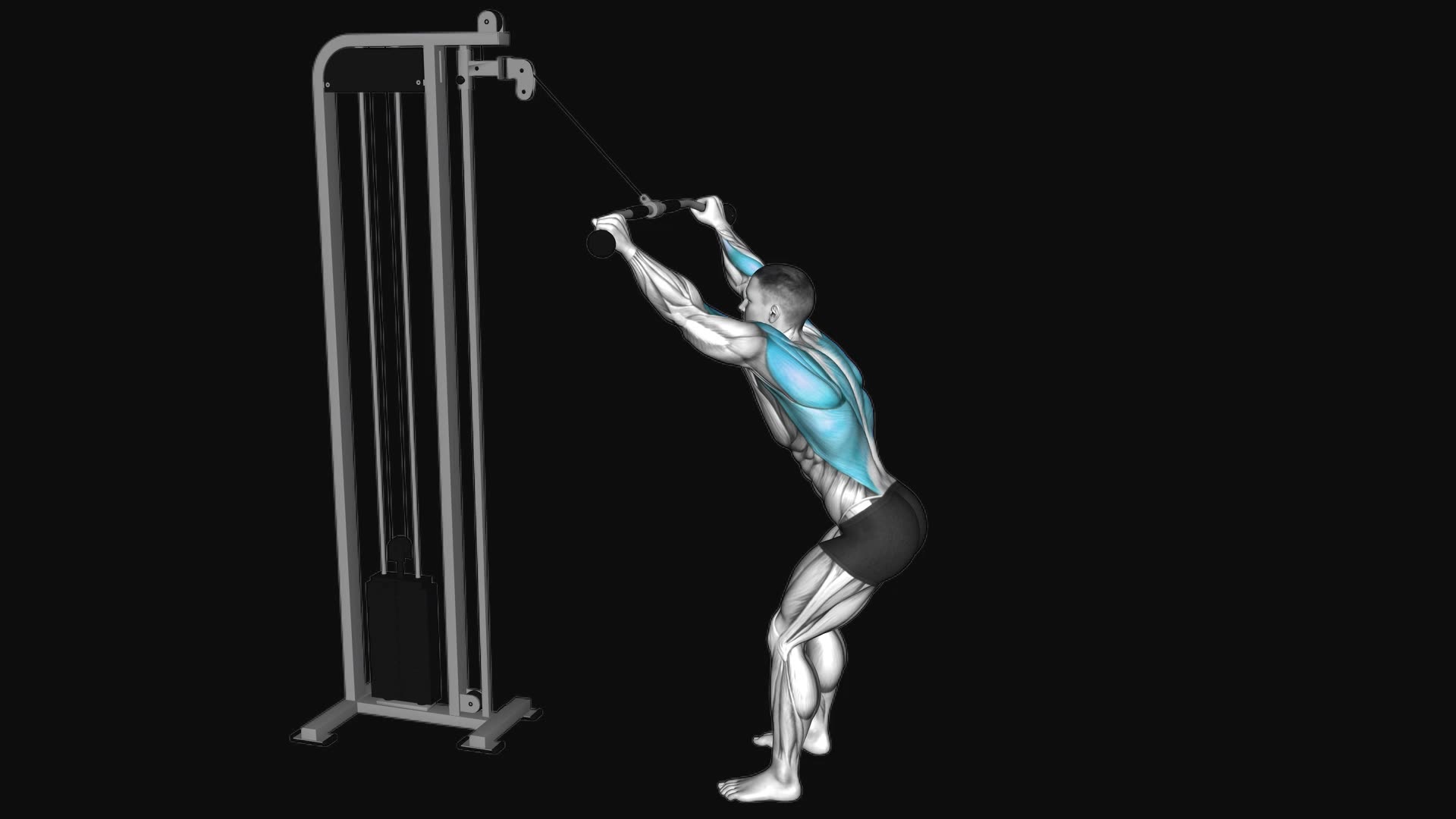 Cable Standing Lat Pulldown