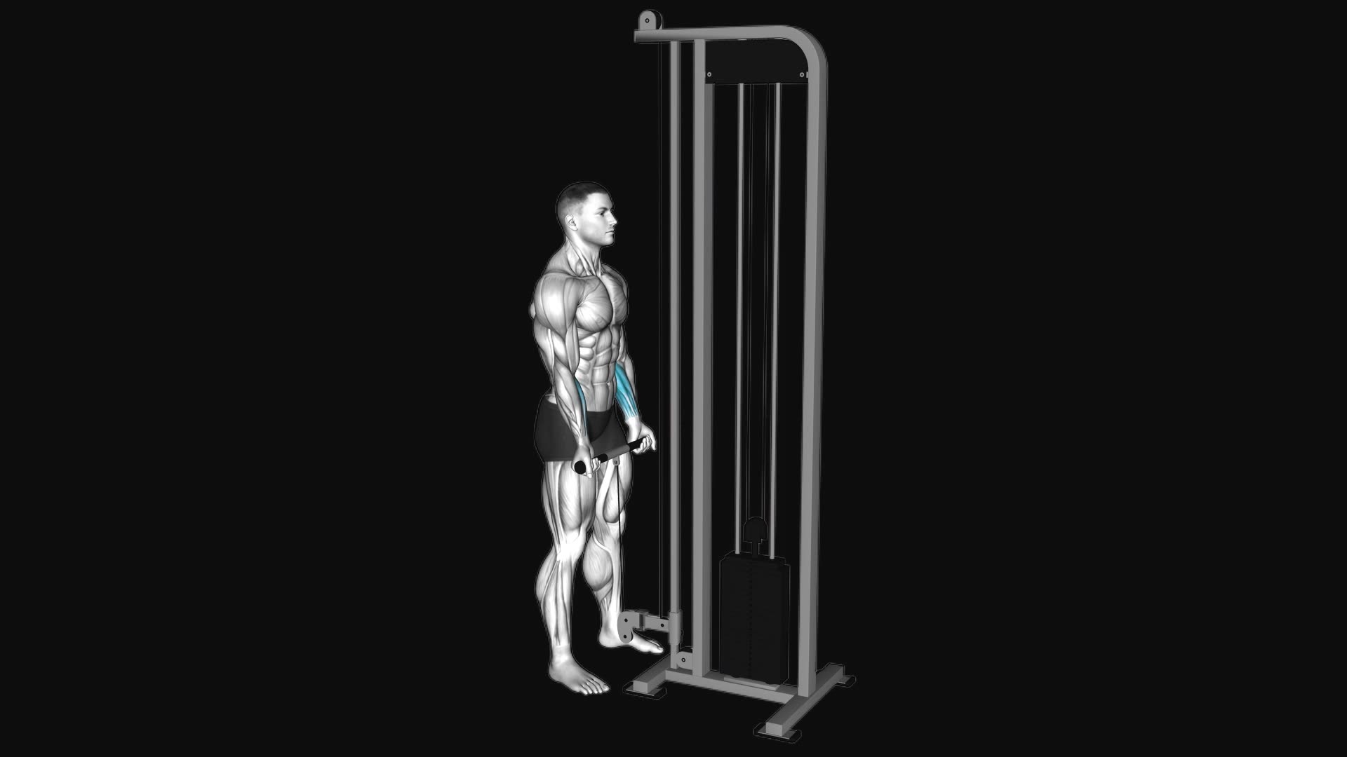 Cable Standing Wrist Curl