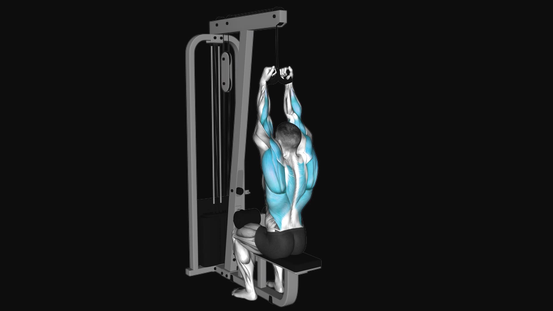 Cable Lateral Pulldown with Mag Grip