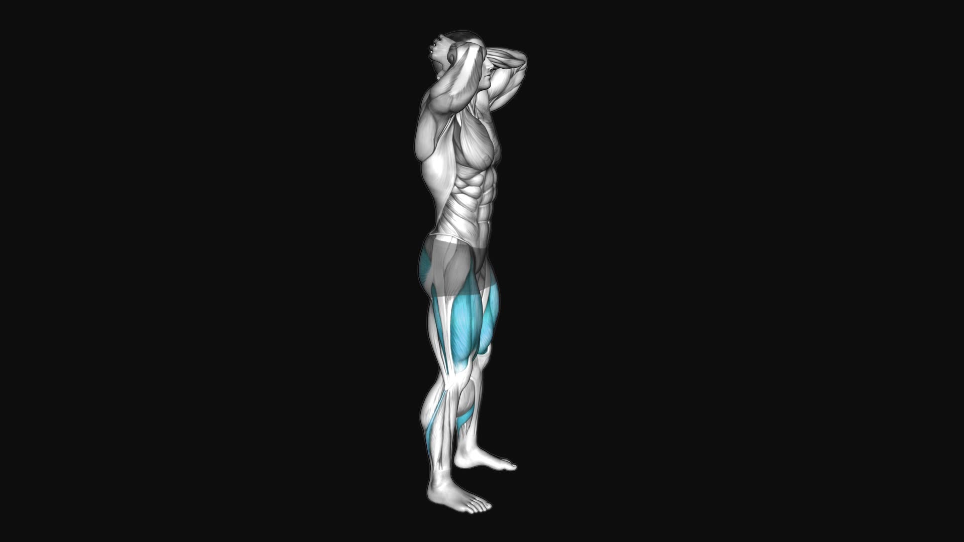 Bodyweight Deep Prisoner Squat