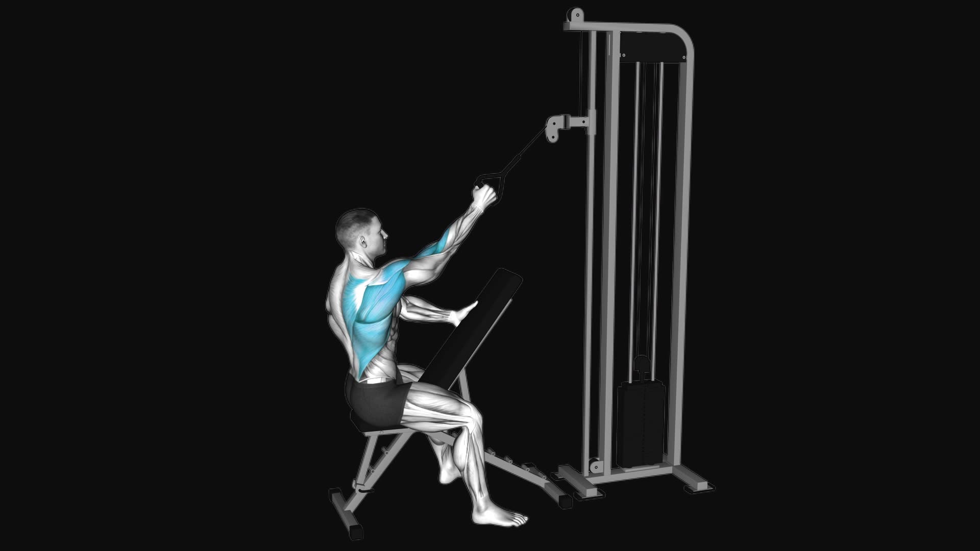 Cable Single Arm High Row