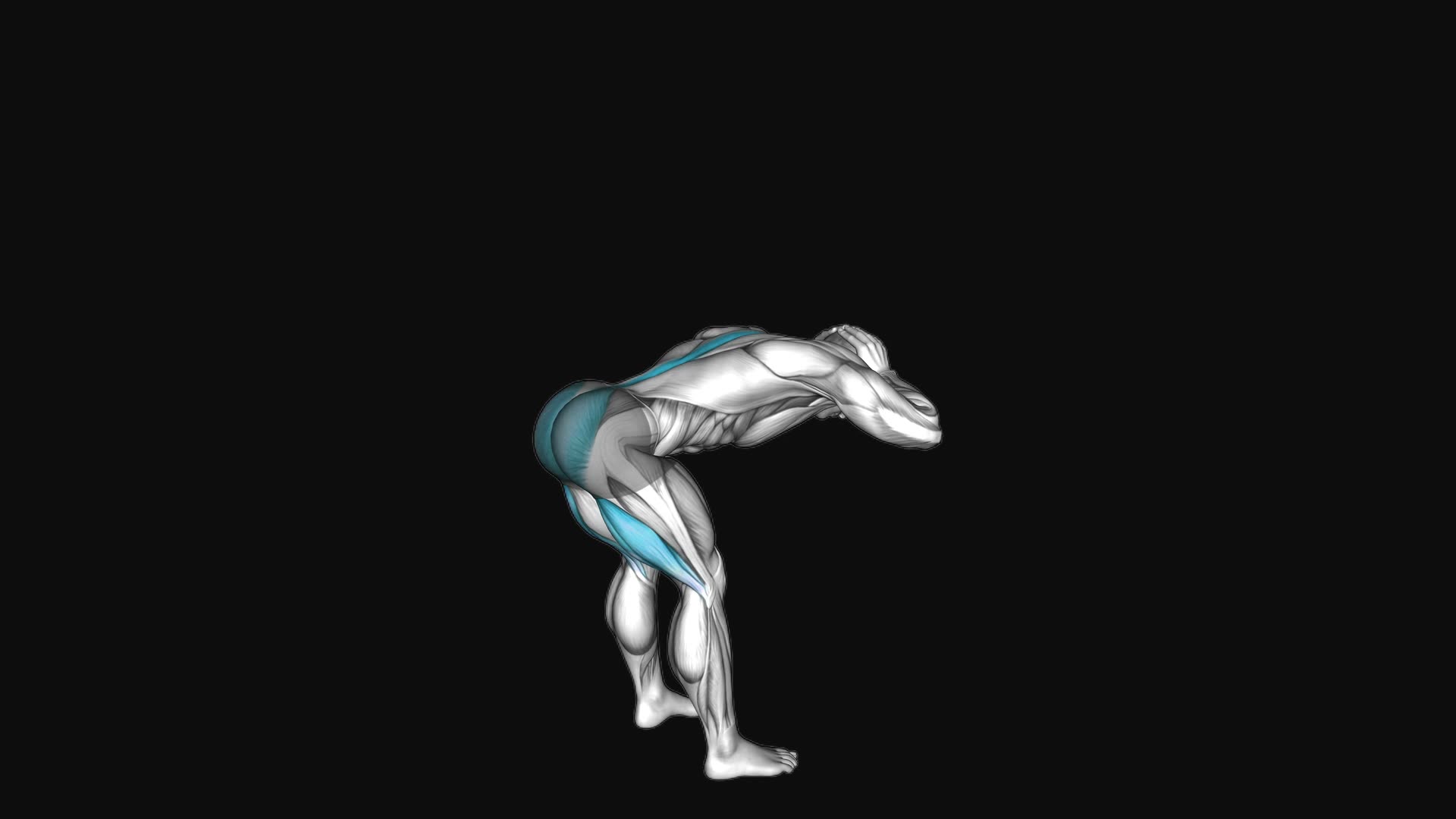 Bodyweight Standing Romanian Deadlift