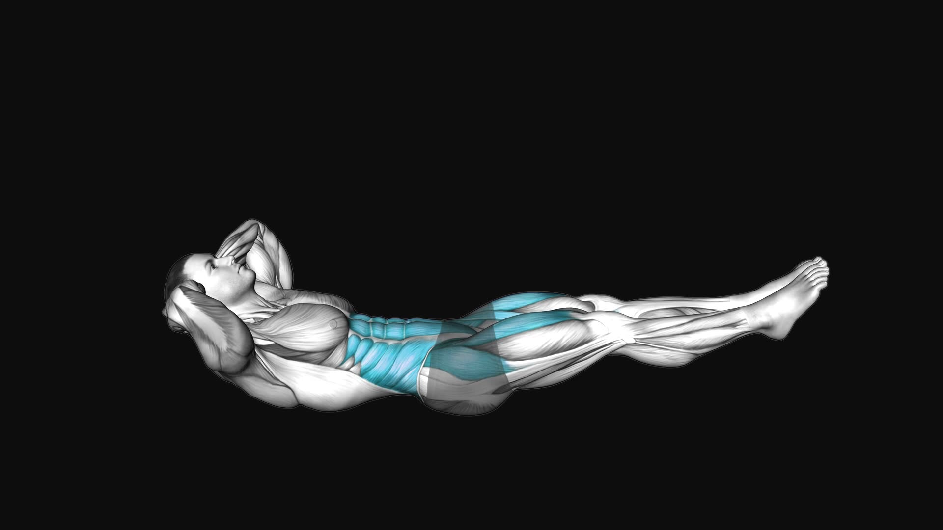 Alternate Leg Raise with Head-up