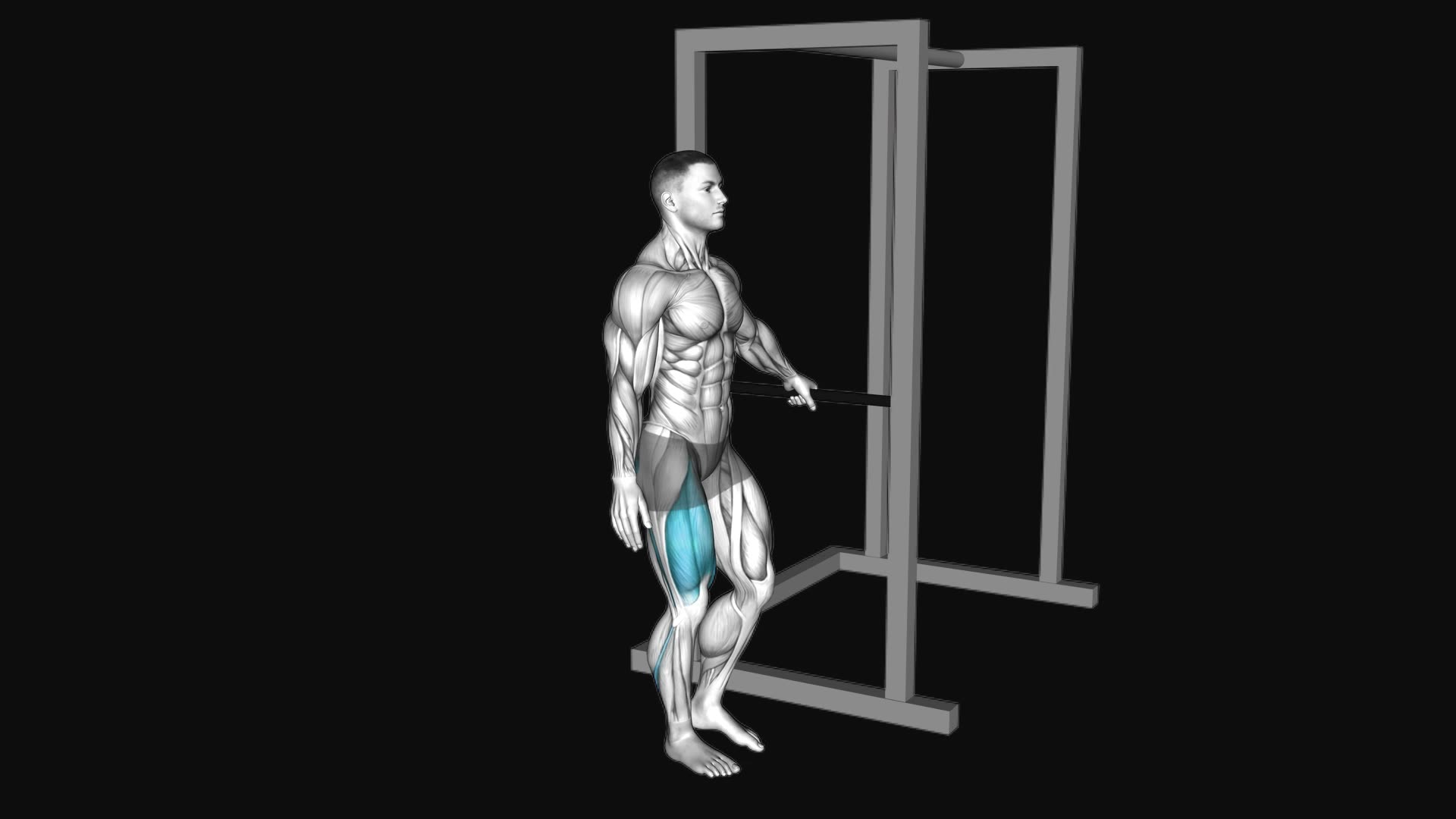 Bodyweight Single Leg Squat with Support