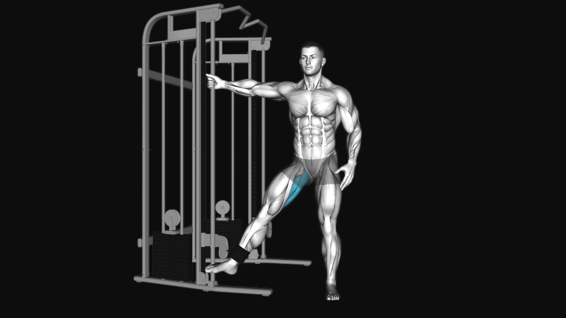 Cable Hip Adduction