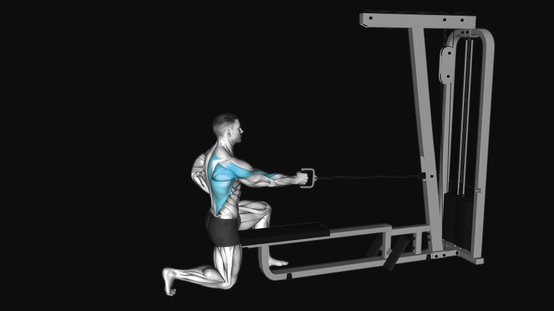 Cable Half Kneeling Single Arm Row