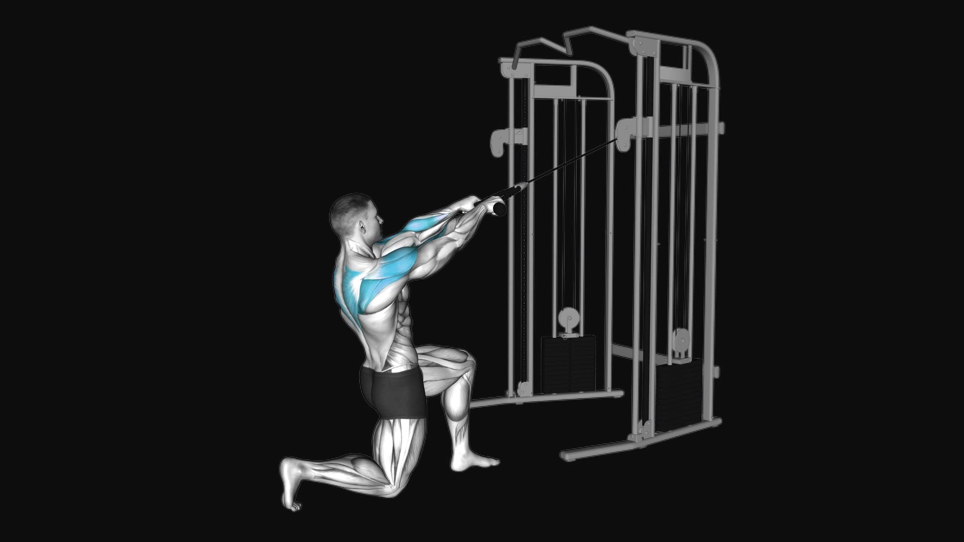 Cable Half Kneeling Face Pull