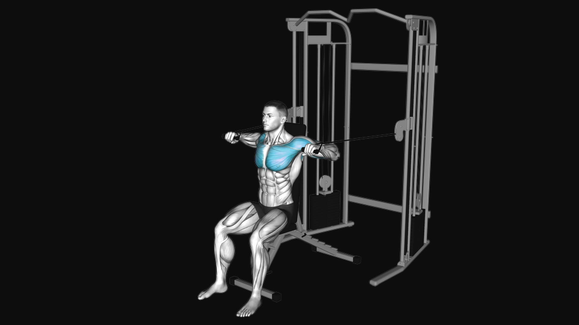 Cable Seated Chest Press