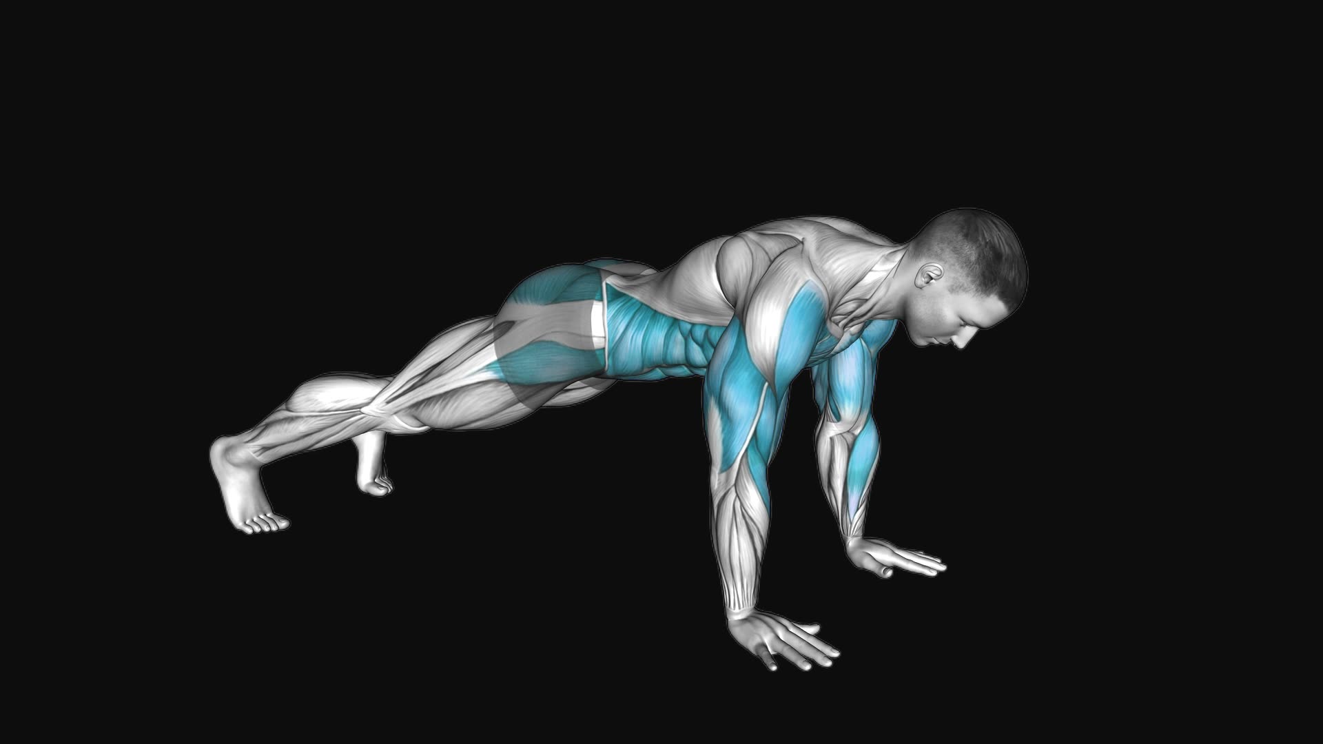 High Plank Shoulder Tap
