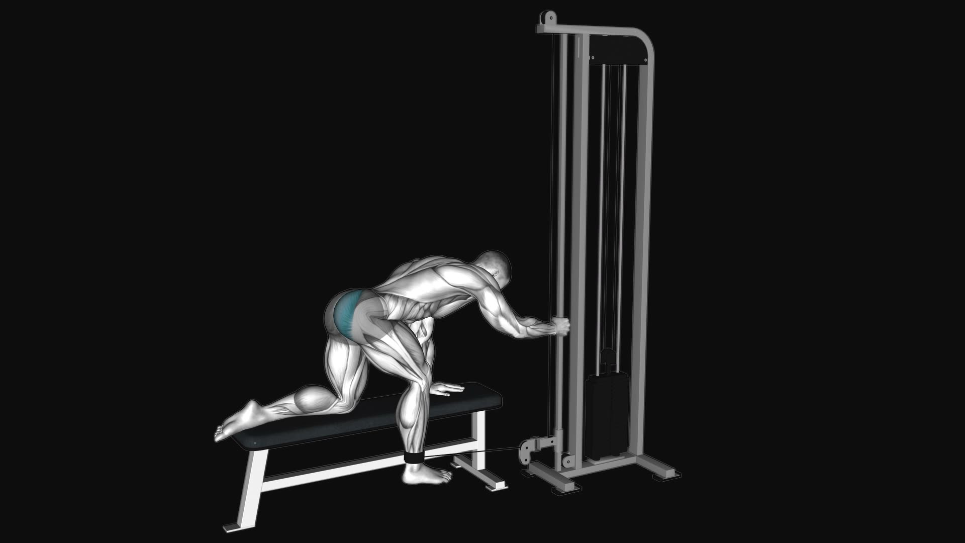 Cable Kneeling Glute Kickback