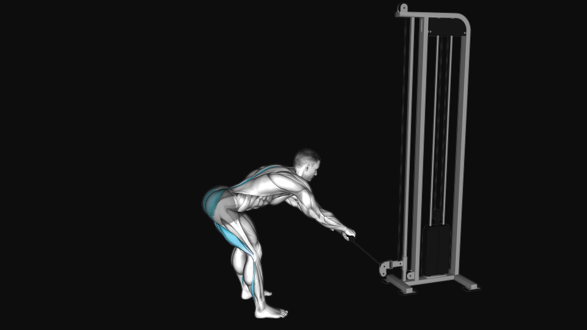 Cable Romanian Deadlift