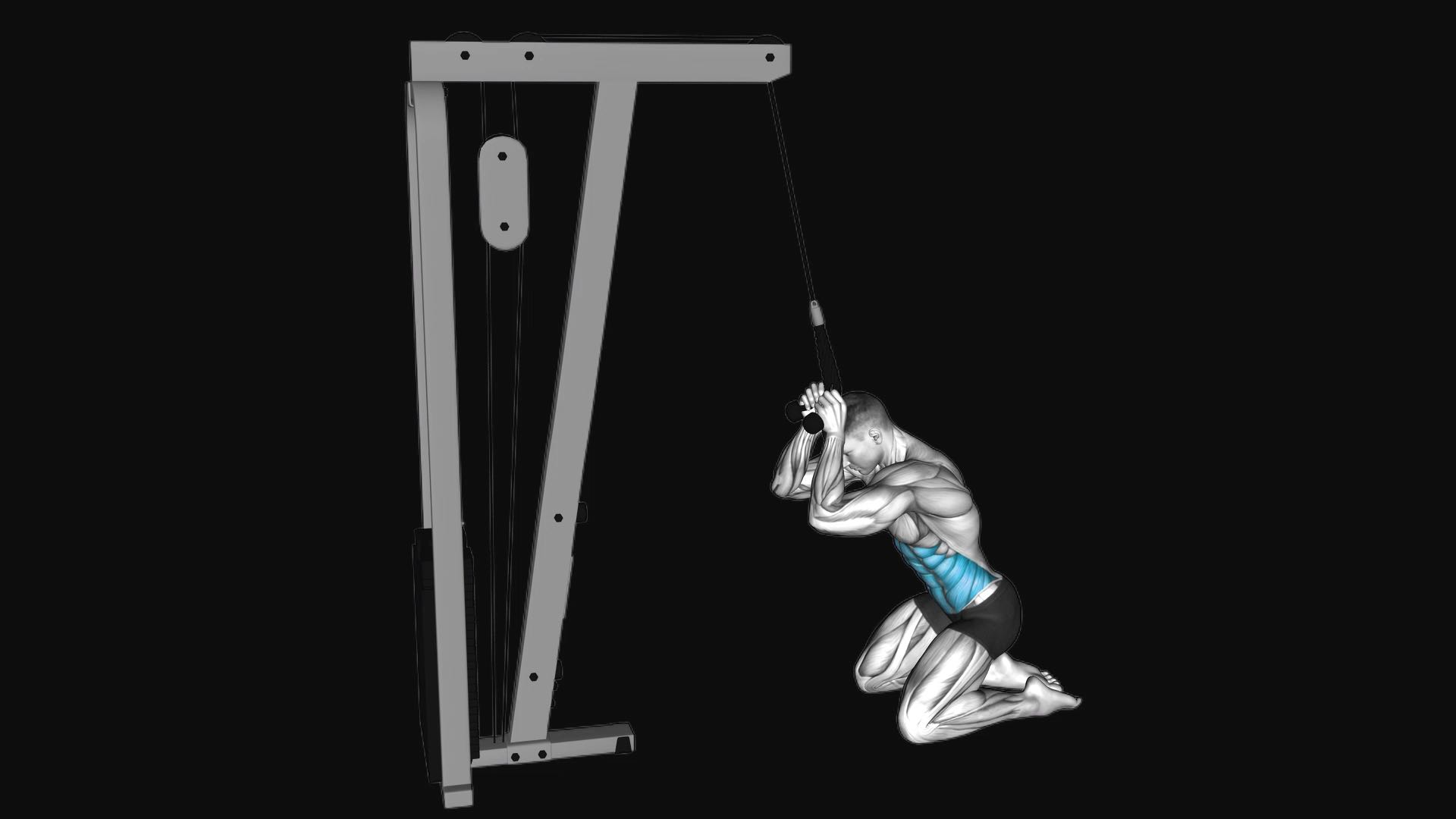 Cable Kneeling Crunch