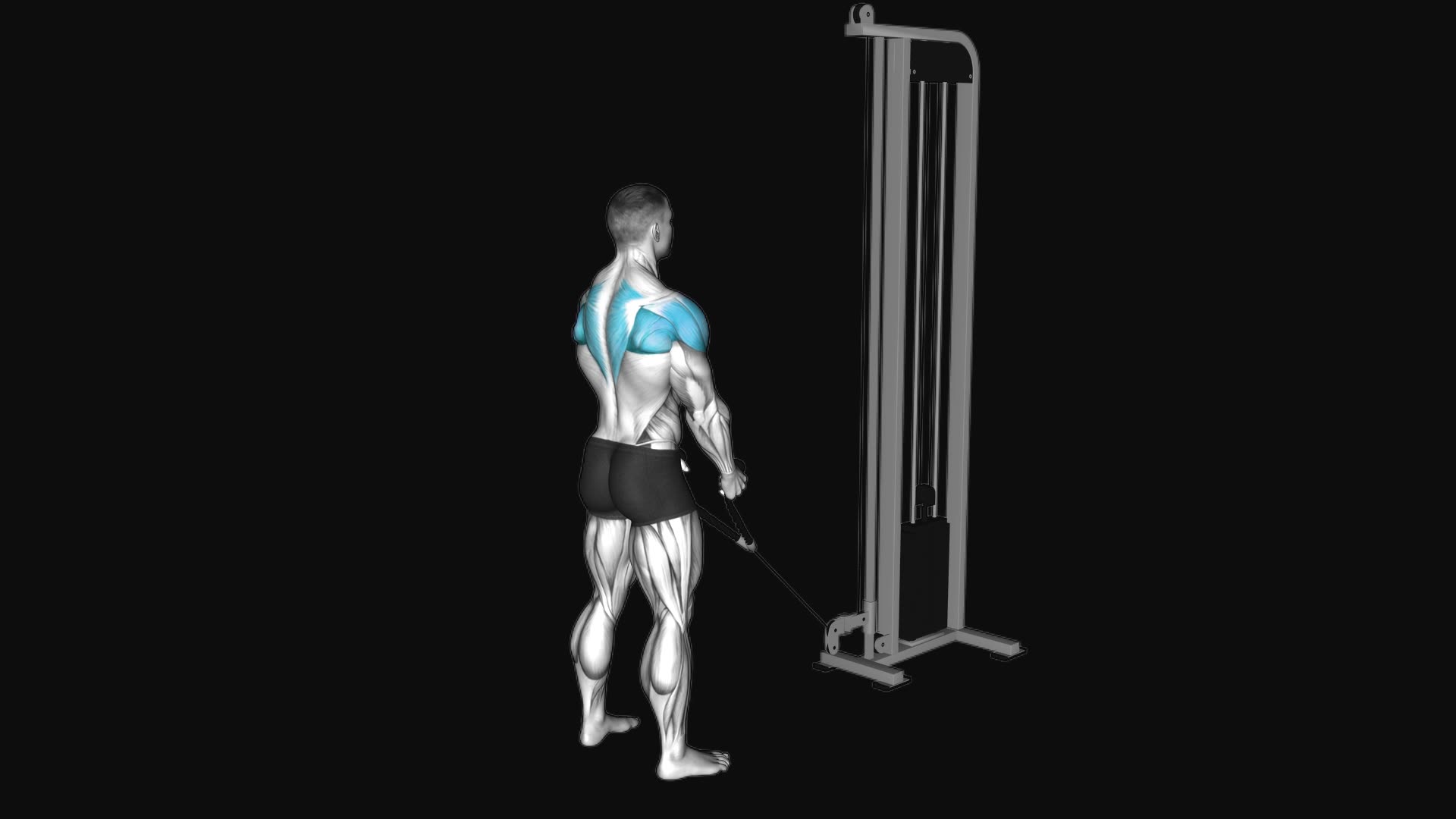Cable Standing Y-raises (with rope attachment)