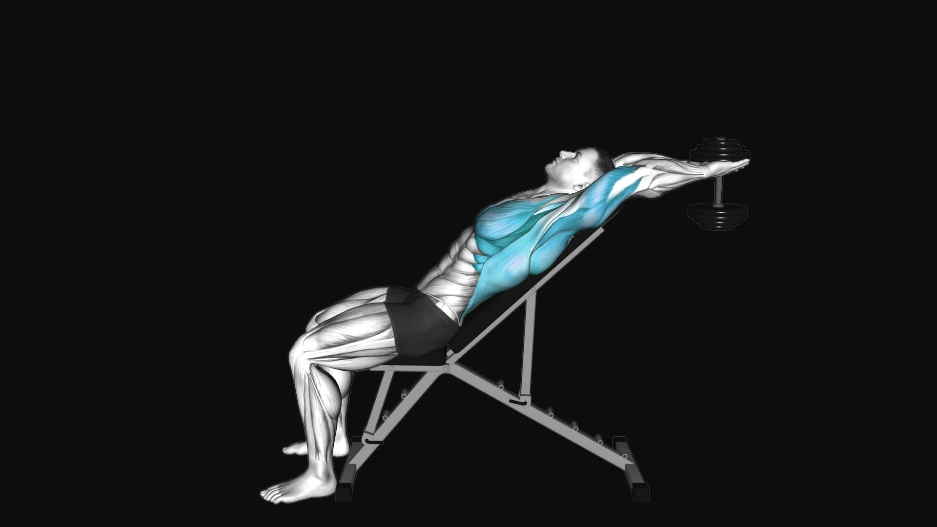 Dumbbell Incline Pullover