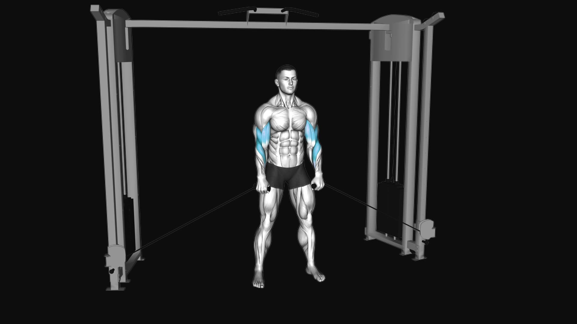 Cable Cross Body Hammer Curl