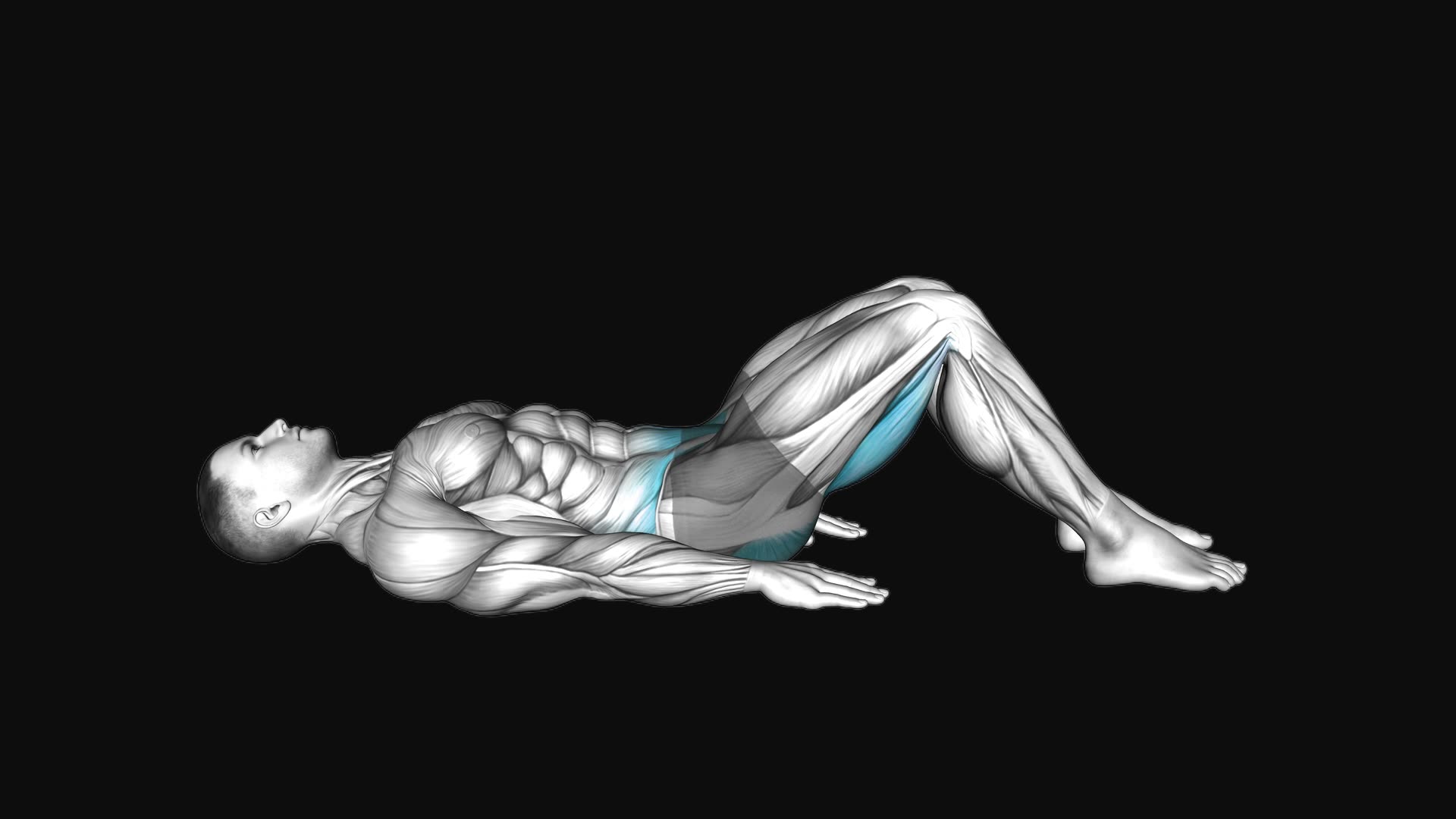 Hamstring Bridge