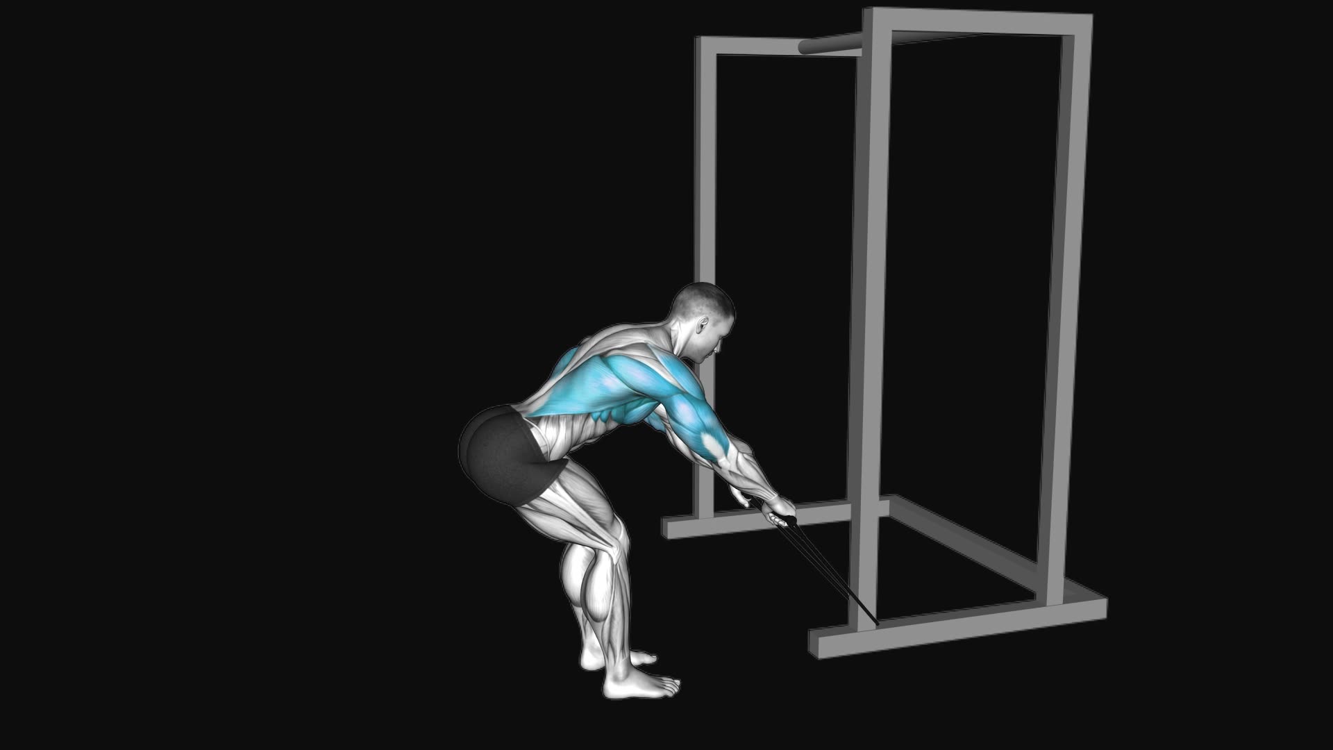 Band Bent Over Rear Deltoid Kickback