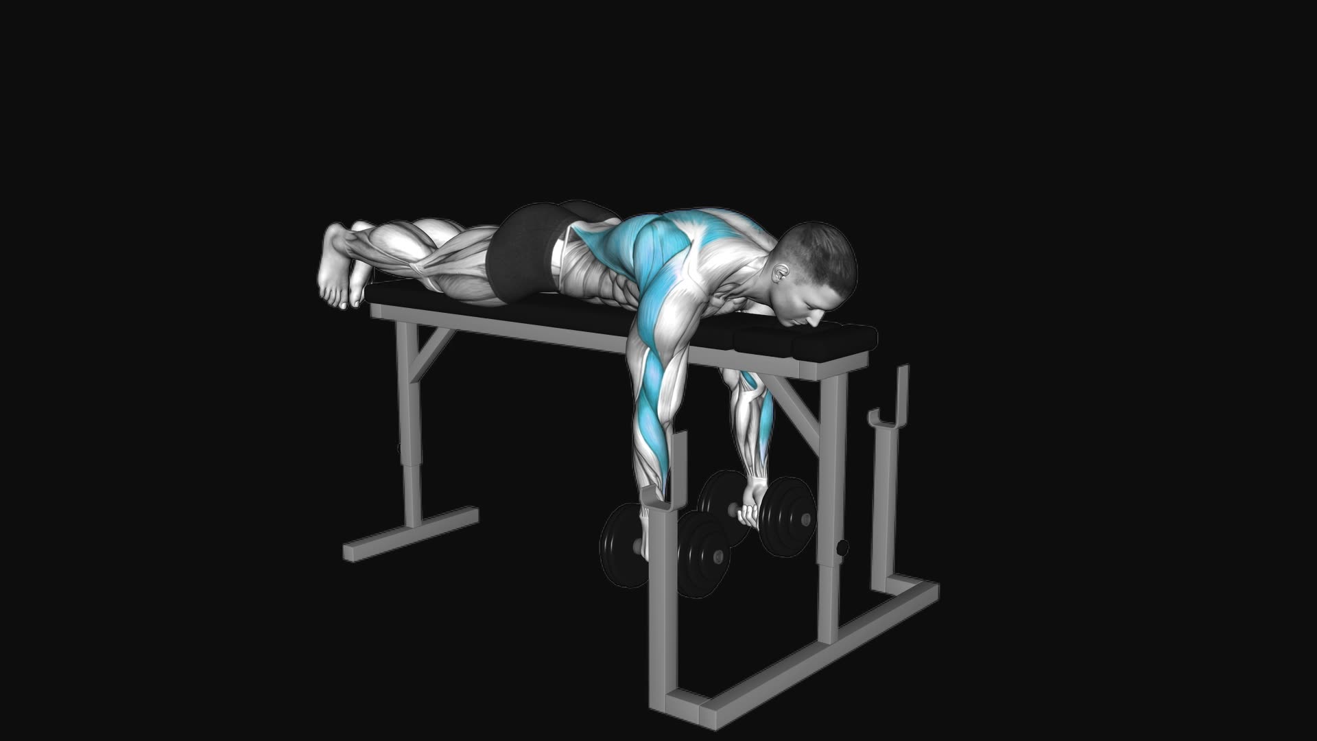 Dumbbell Lying Neutral Grip Row on Rack