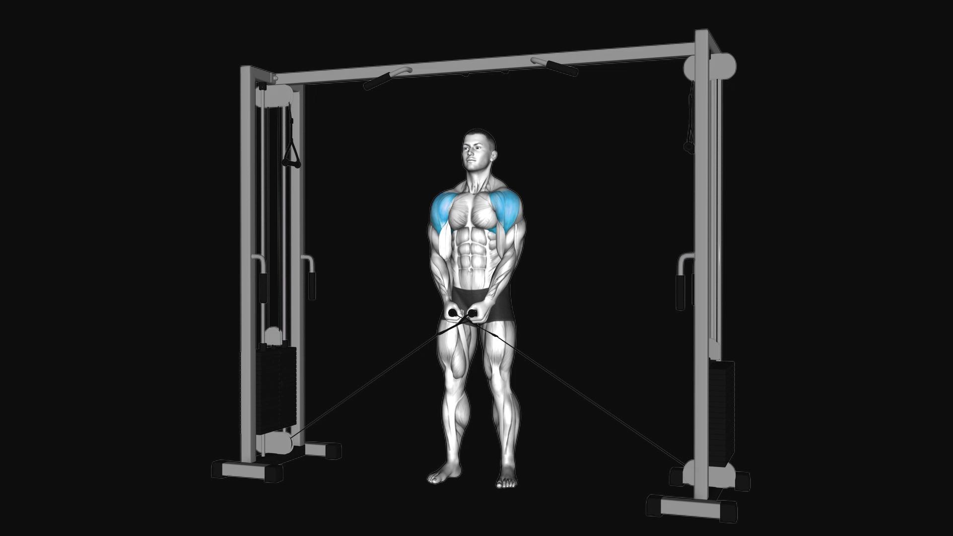 Cable Lateral Raise