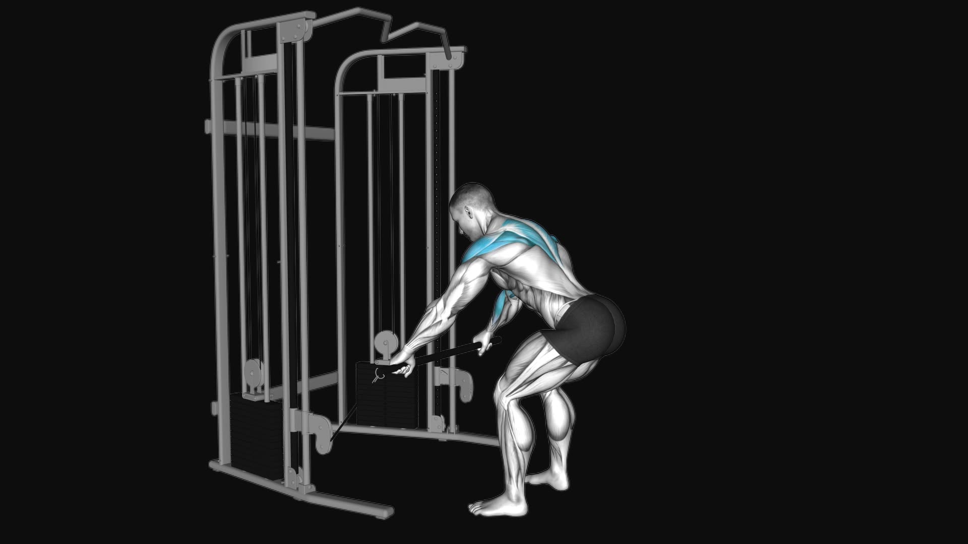 Cable Bent over Contralateral Rear Delt Row
