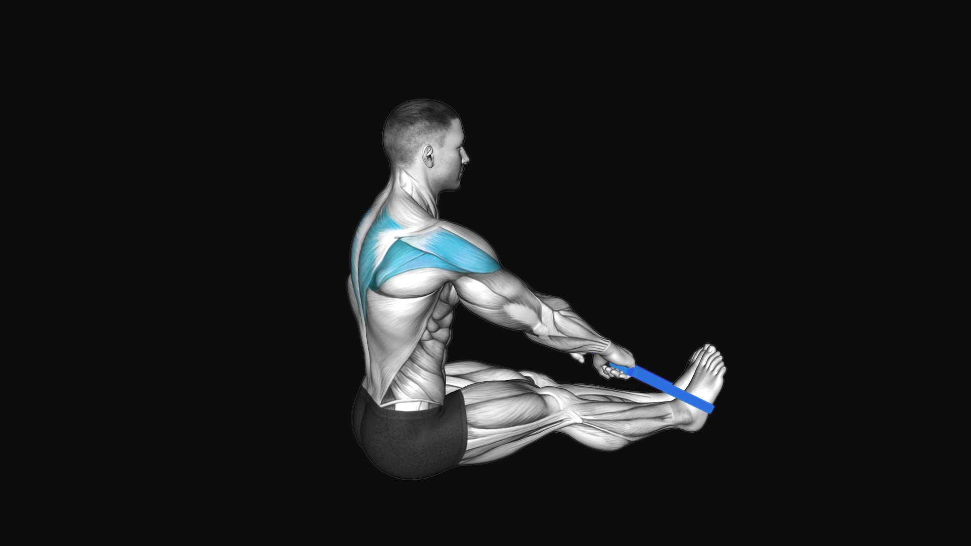 Resistance Band Seated Wide Row