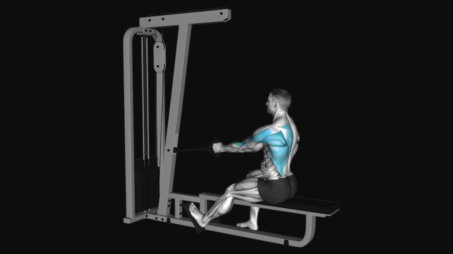 Cable Seated Single Arm Lats Focused Row