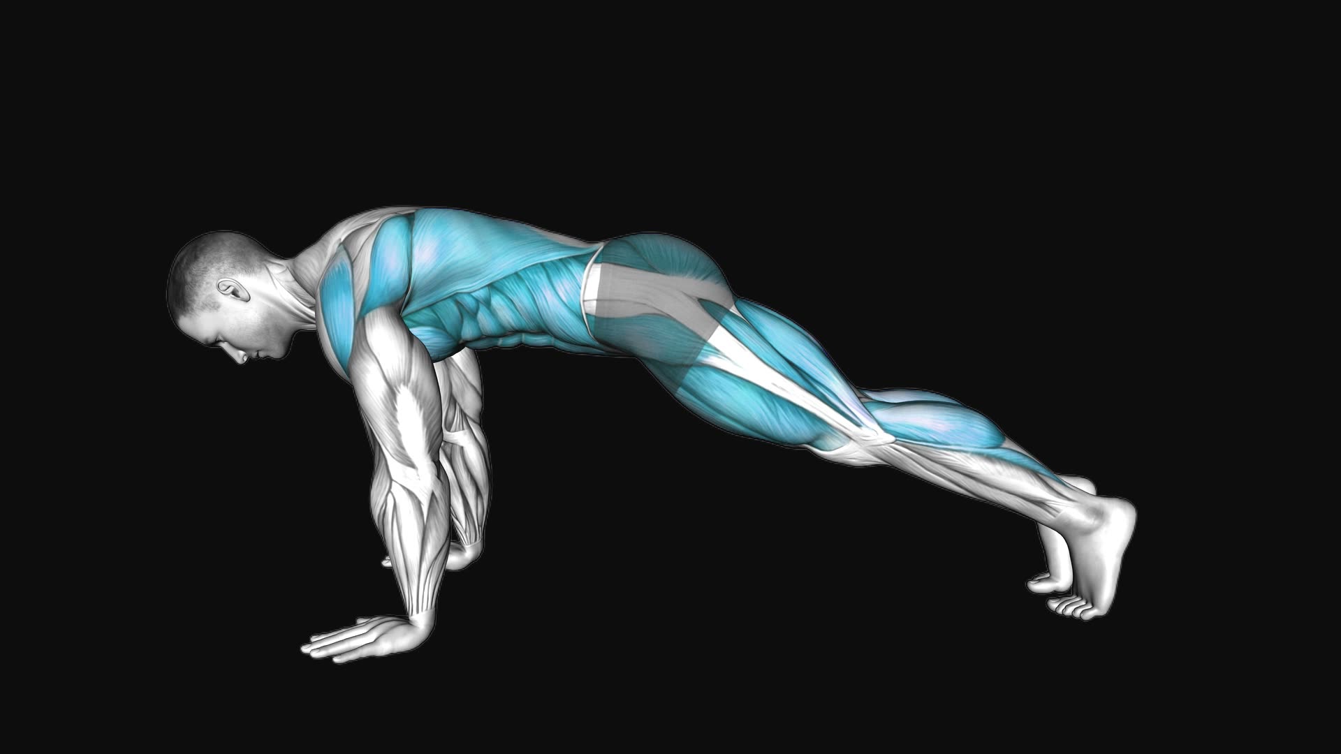 High Plank to Frog Squat