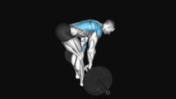 Bent Over Row-Barbell