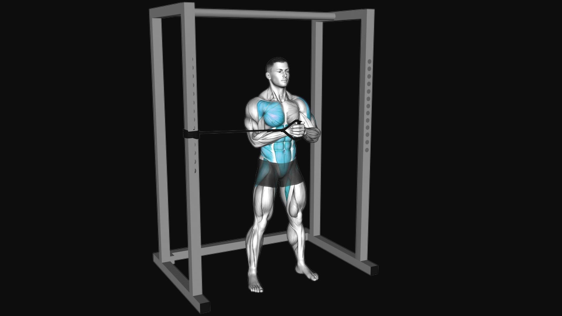 Band Horizontal Pallof Press