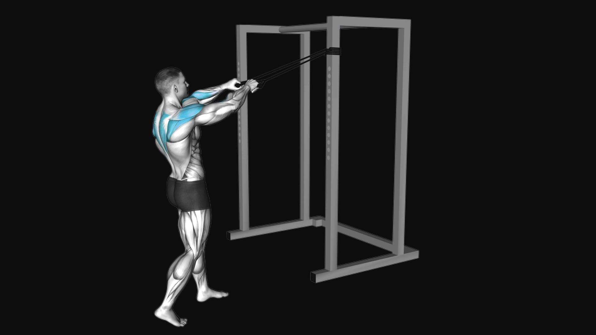 Band Standing Rear Delt Row