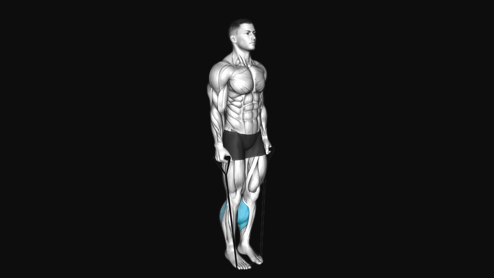 Band Two Legs Calf Raise (Band under Both legs)