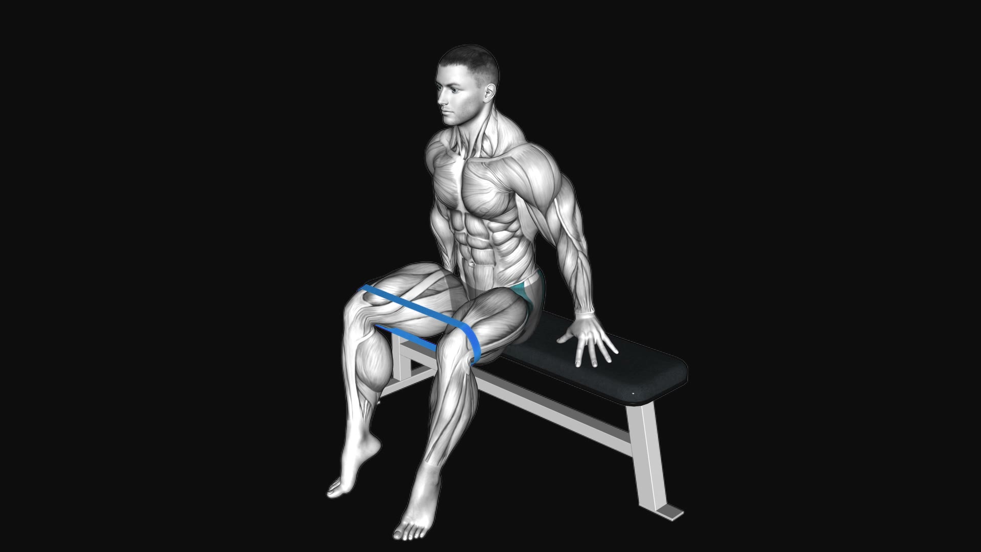 Resistance Band Seated Hip Abduction