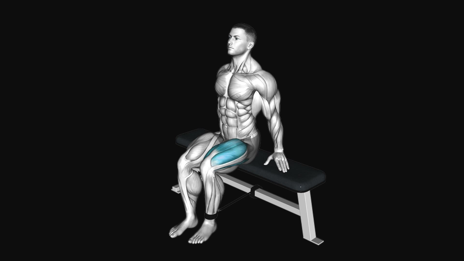 Band Seated Leg Extension
