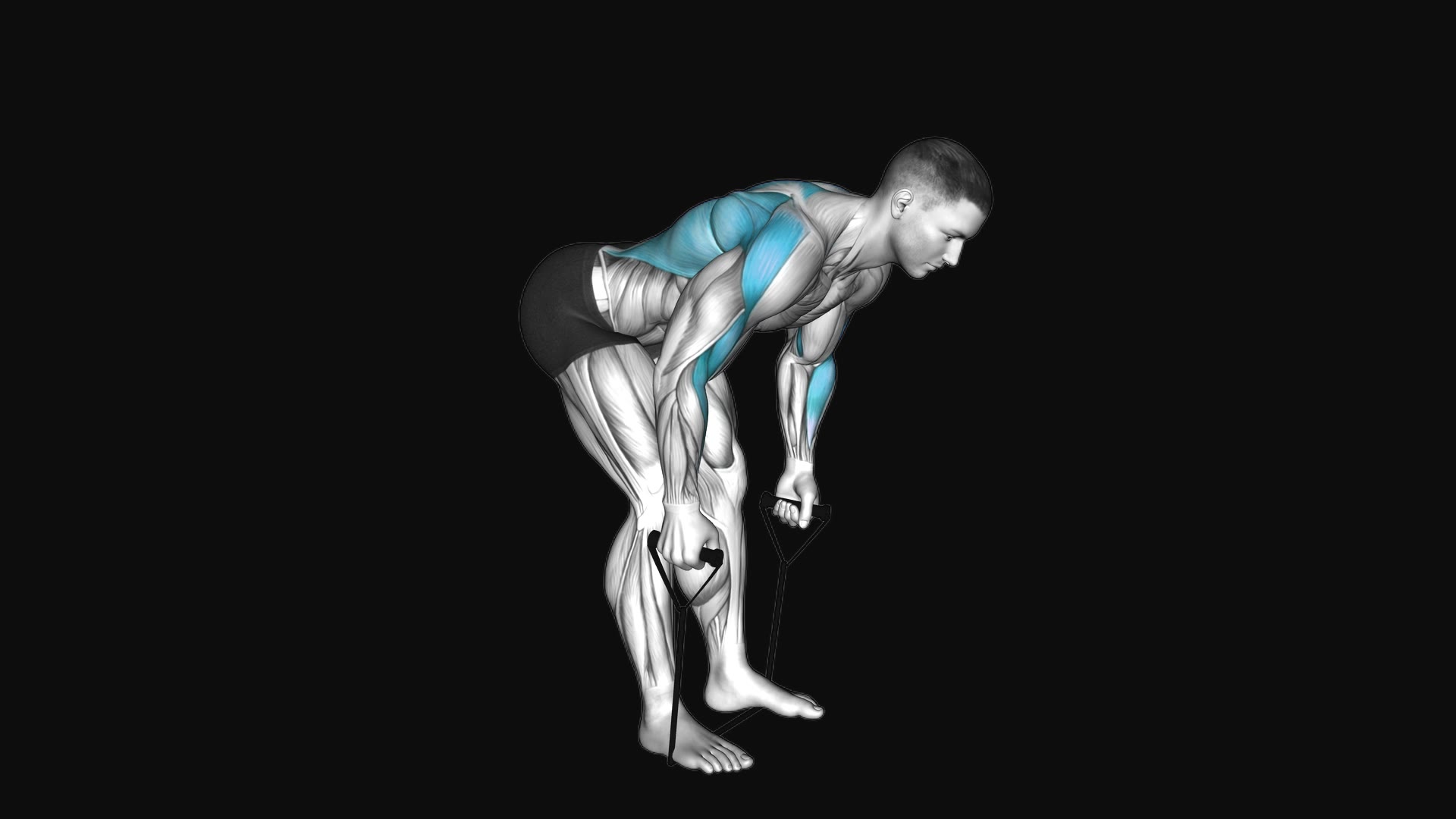 Band Bent over Row