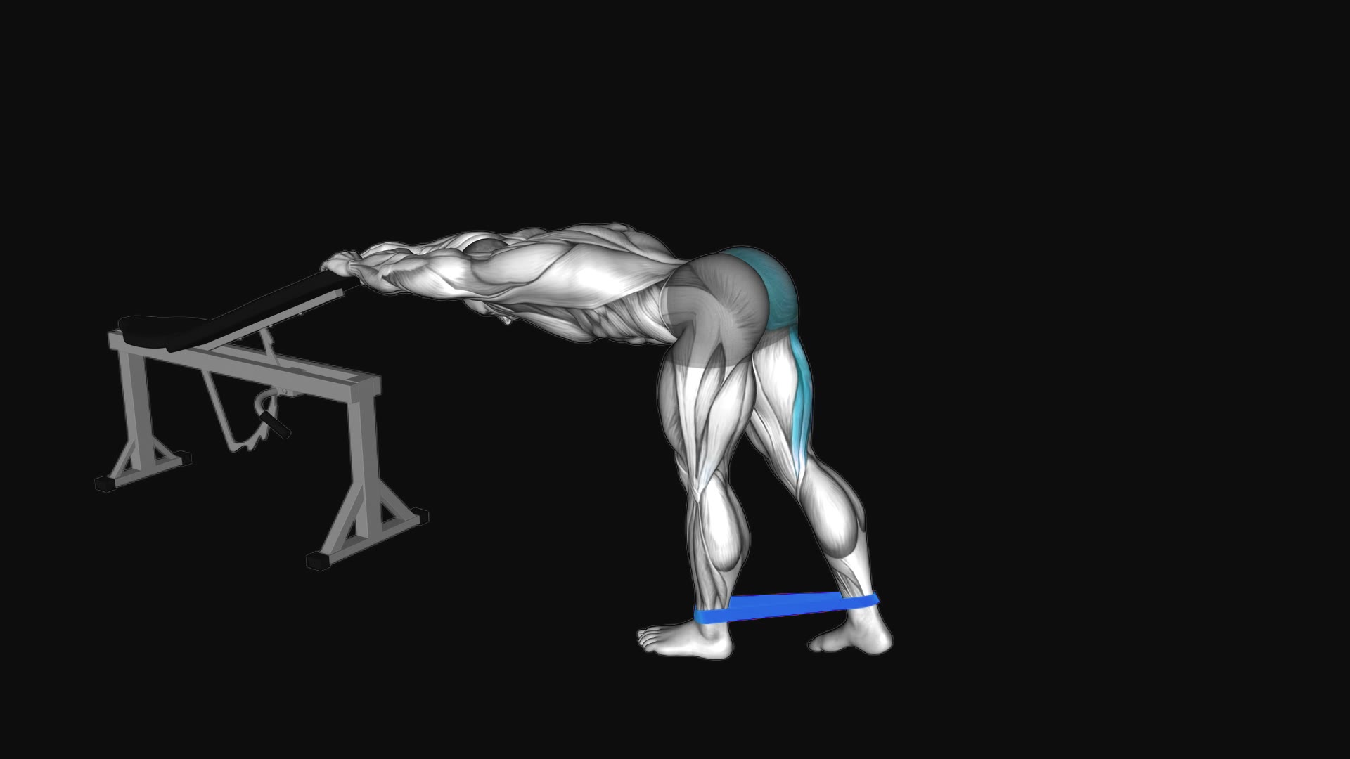 Resistance Band One Leg Kickback (Bent Position)