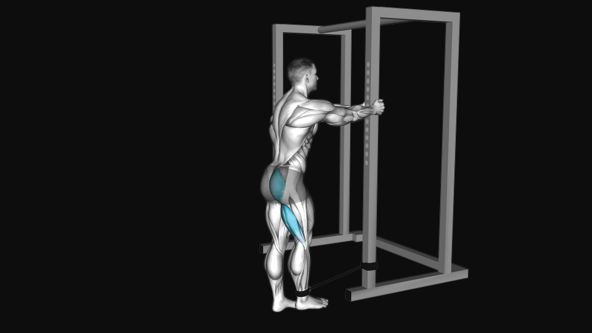 Band Standing Hip Extension