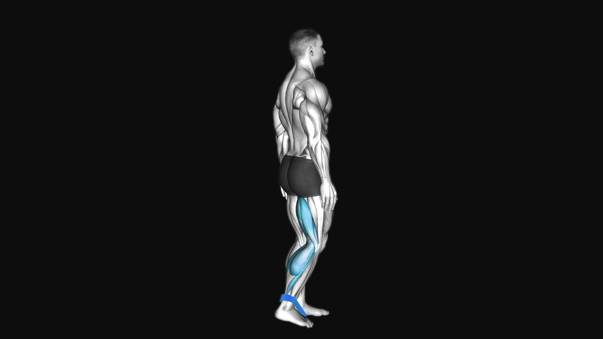 Resistance Band Leg Curl