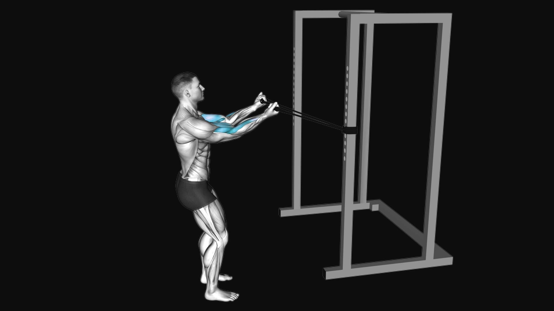 Band Horizontal Biceps Curl