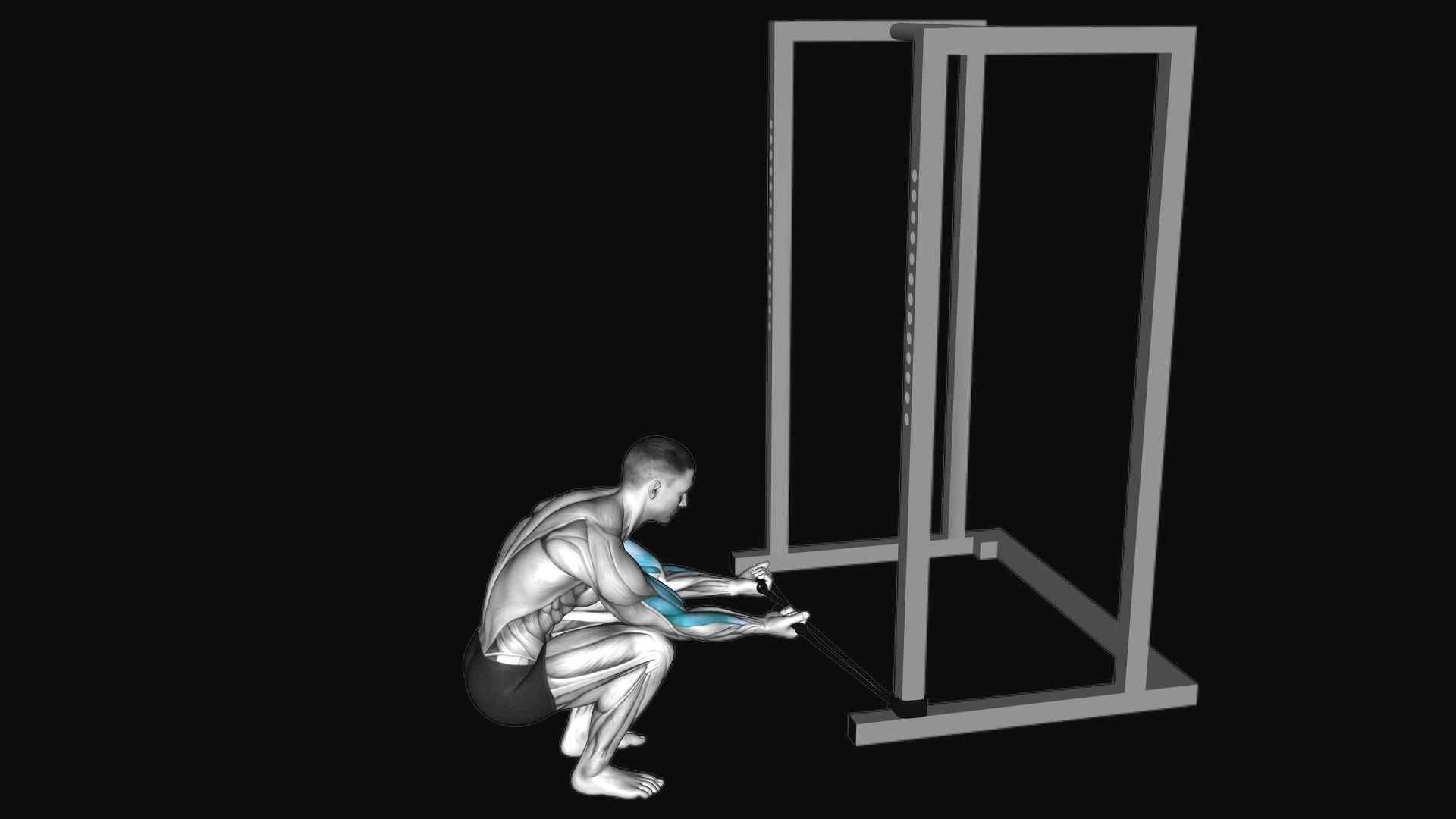 Band Kneeling Preacher Curl