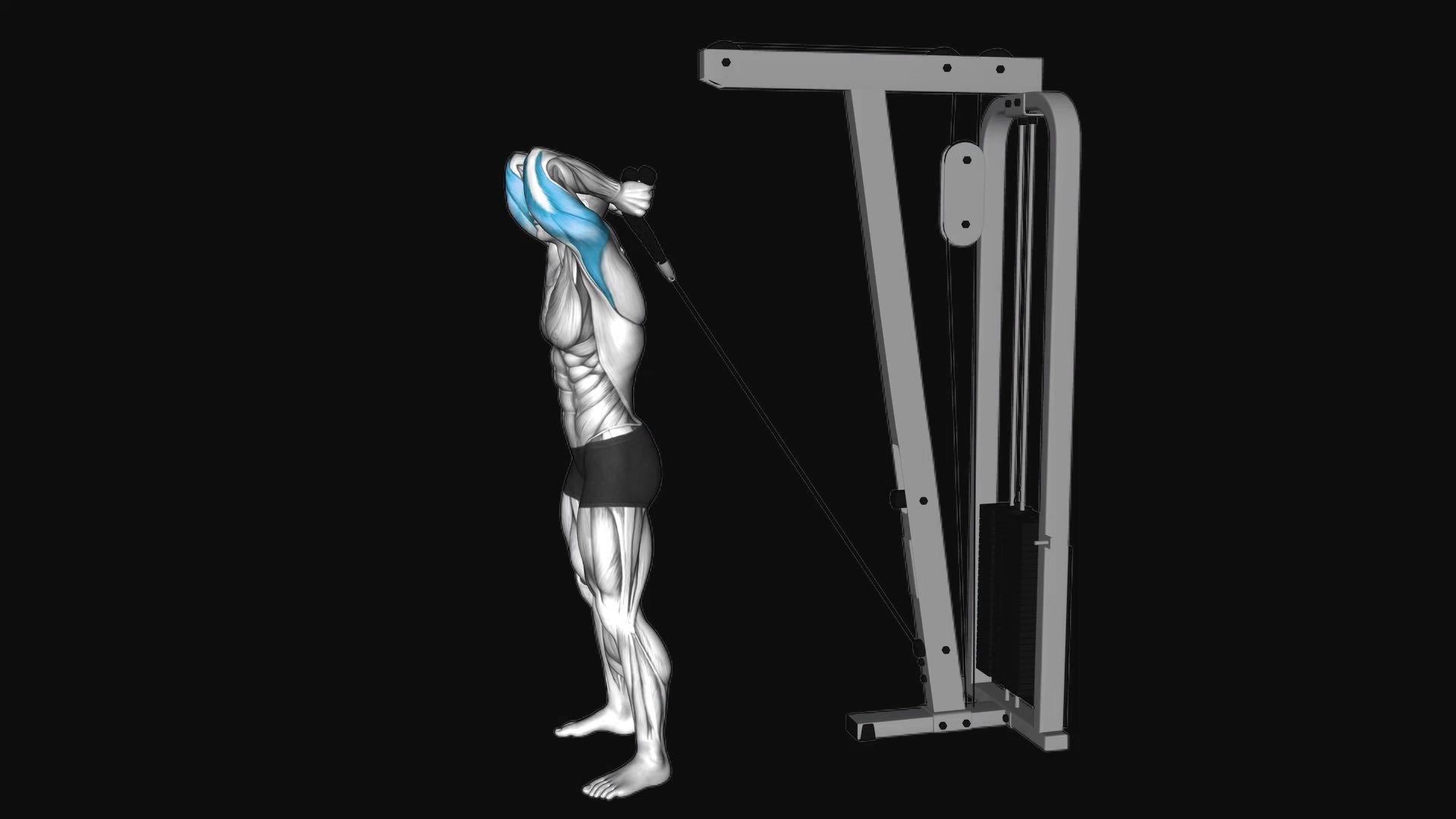 Cable Overhead Triceps Extension