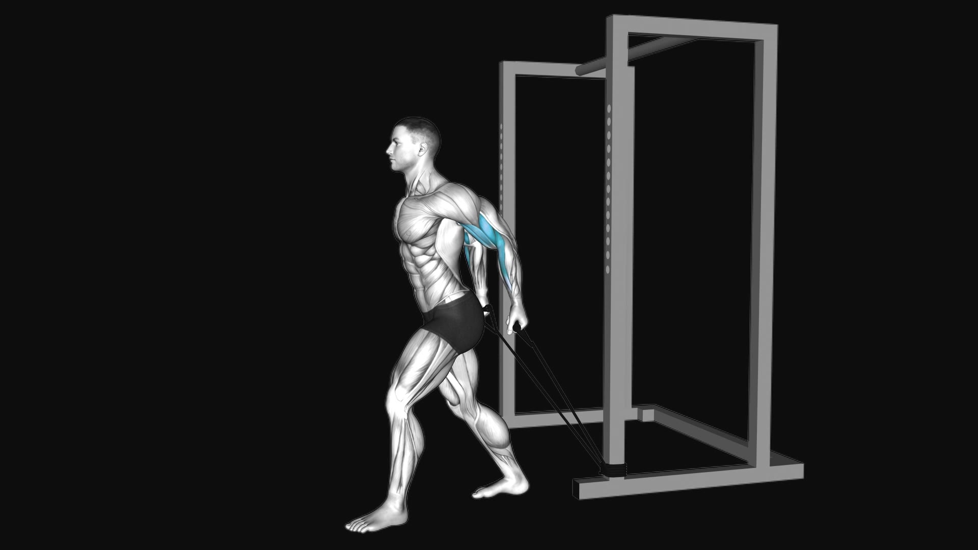 Band 45 Degrees Biceps Curl