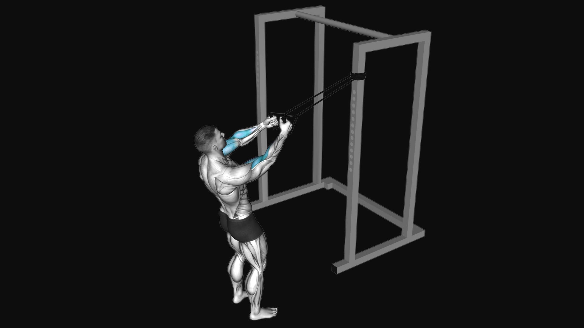 Band Cross Chest Biceps Curl