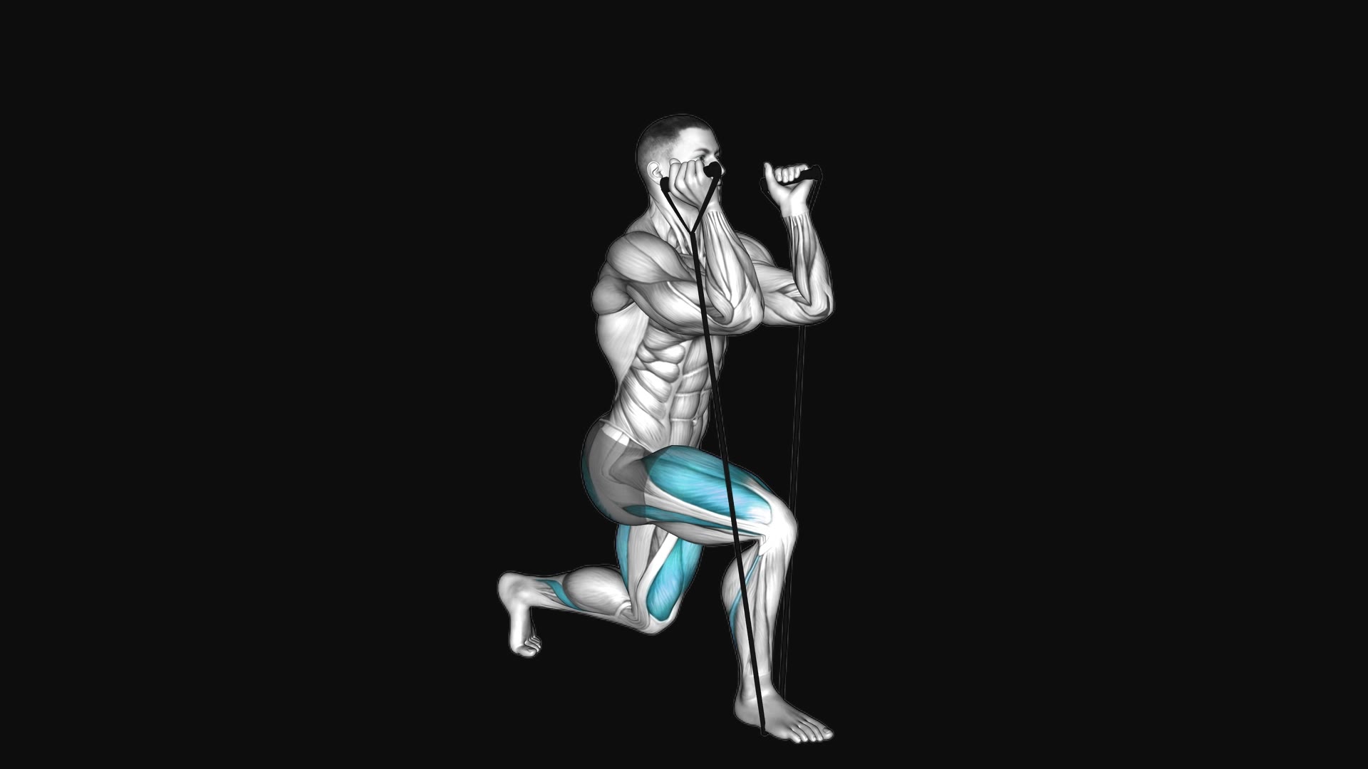Band Split Squat