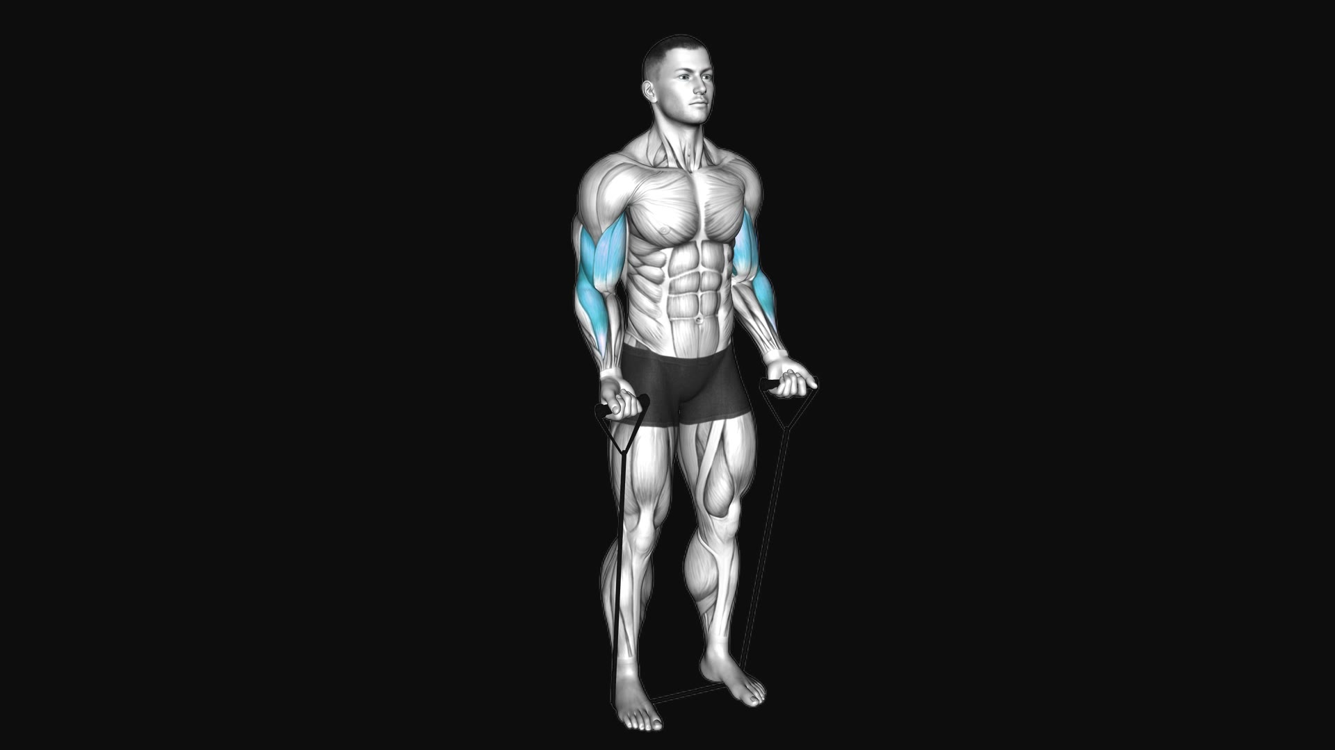 Band Close Grip Biceps Curl