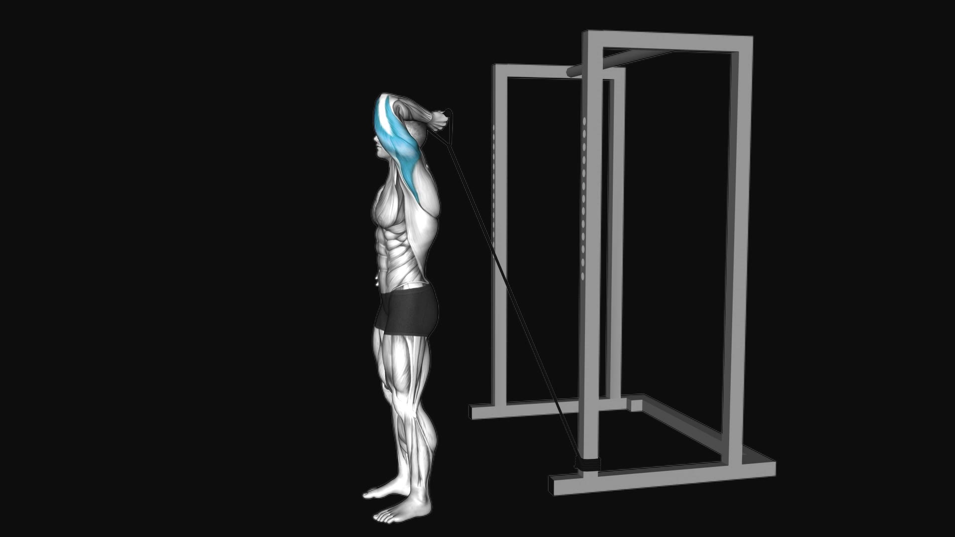 Band Overhead Single Arm Triceps Extension