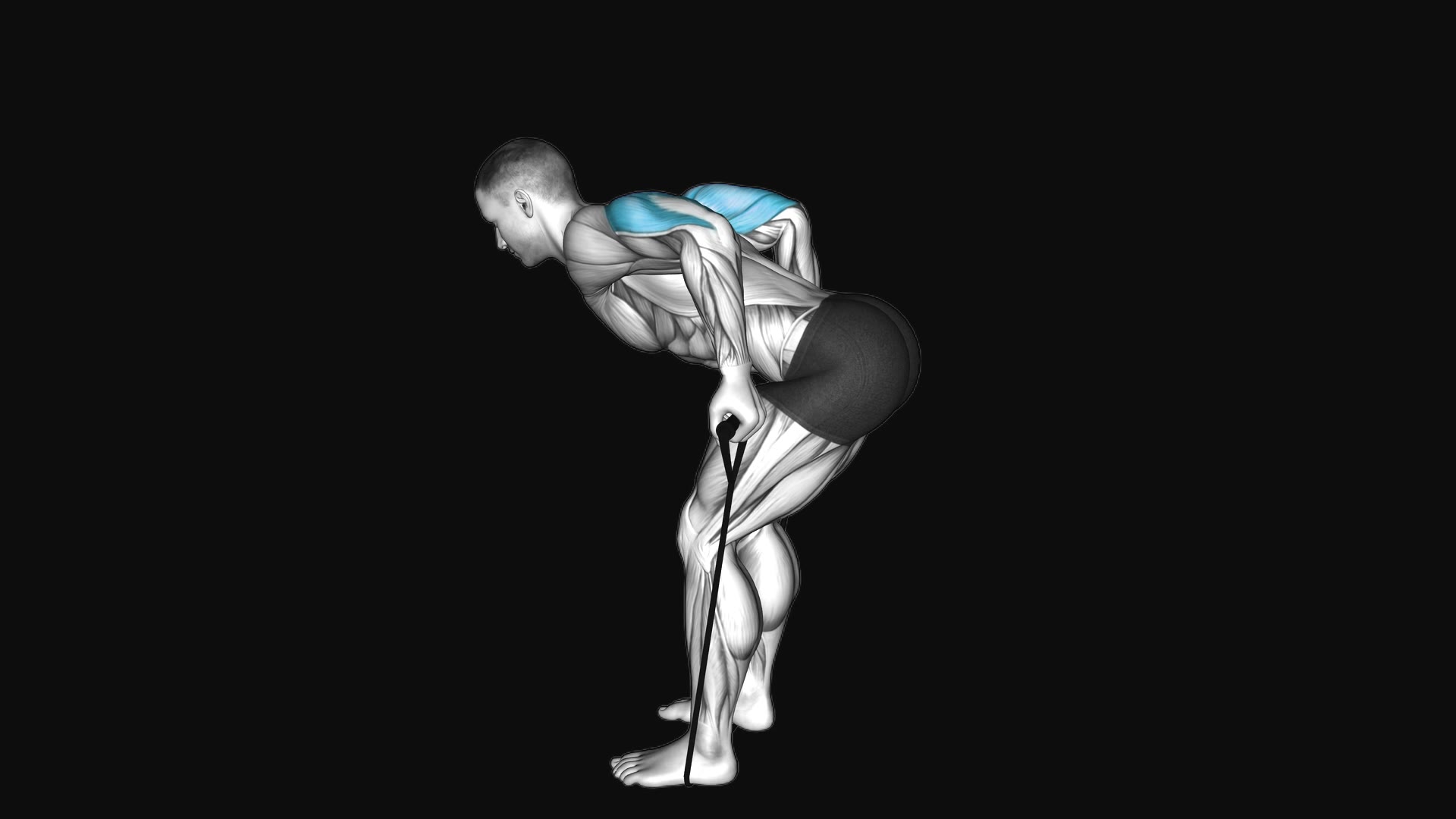 Band Triceps Kickback