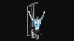 Cable Pulldown
