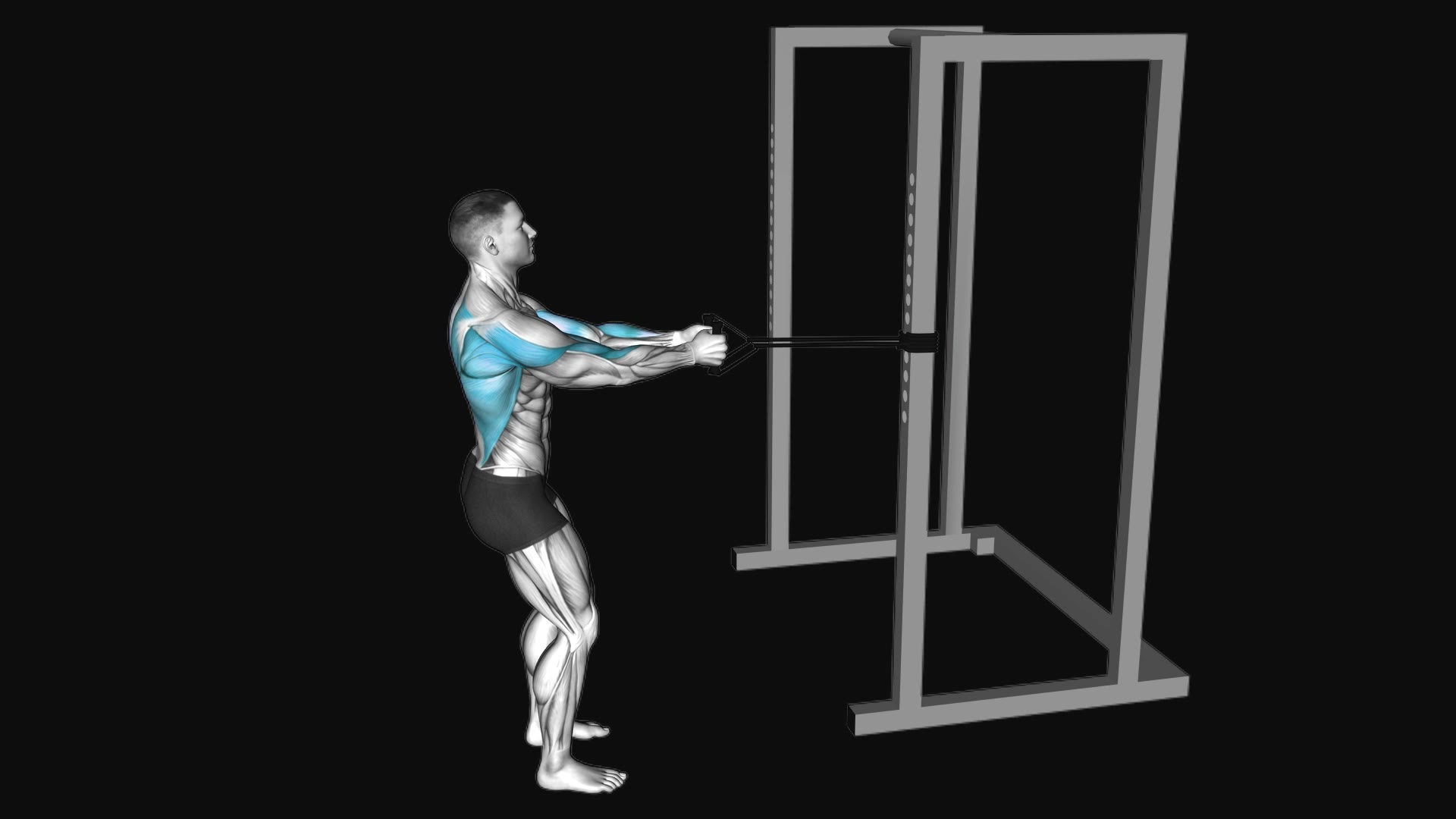 Band Close Grip Row
